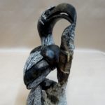 Hornbill Solo